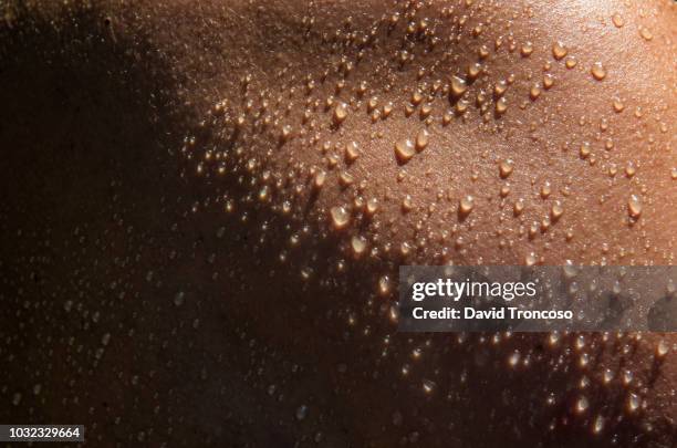 detail of wet skin. - sweating stock-fotos und bilder