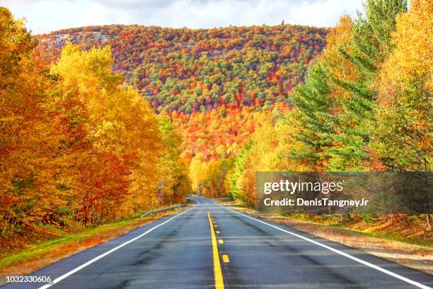 autumn in the in the adirondacks - fall road trip stock pictures, royalty-free photos & images