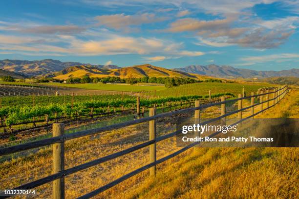 spring vineyard in the santa ynez valley santa barbara, ca - farm fence stock pictures, royalty-free photos & images