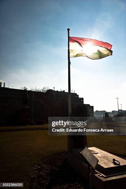 hungarian revolution flag - hungarian flag stock pictures, royalty-free photos & images