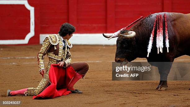 French matador Sebastian Castella looks at a Torrealta fighting bull during a bullfight of the San Lorenzo festival, on July 29, 2010 in Santander....