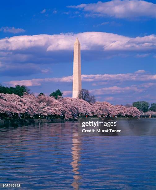 monument reflecting into water - national monument stock pictures, royalty-free photos & images