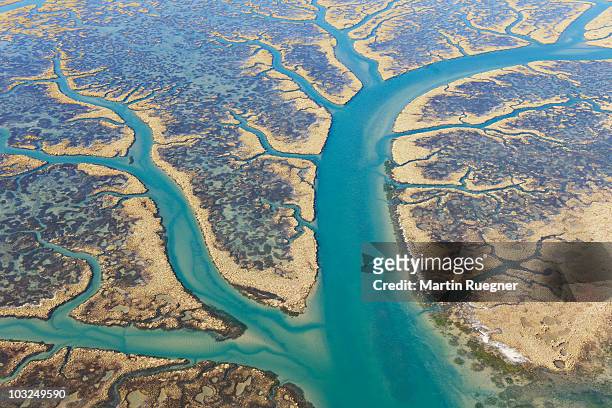 odiel marshes biosphere reserve, aerial view. - estero zona húmeda fotografías e imágenes de stock