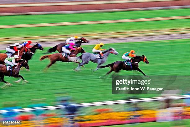 horse race - jockey racing stock pictures, royalty-free photos & images