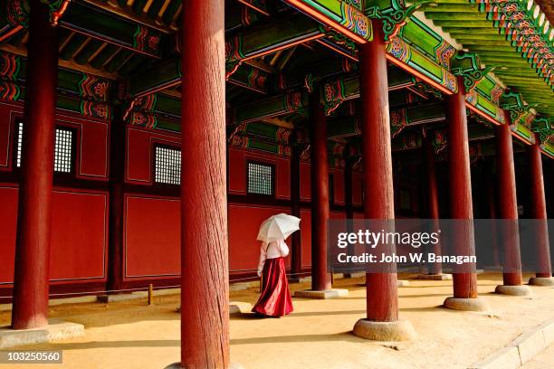 woman with umbrella - seoul fotografías e imágenes de stock