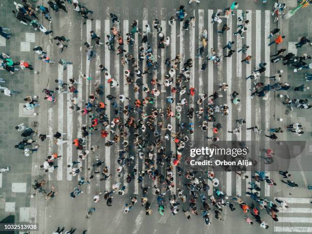 aerial view of a crossing in mexico city - large group of people stock pictures, royalty-free photos & images