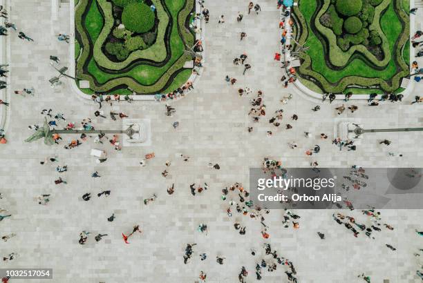 aerial view of a crossing in mexico city - crowd of people from above stock pictures, royalty-free photos & images