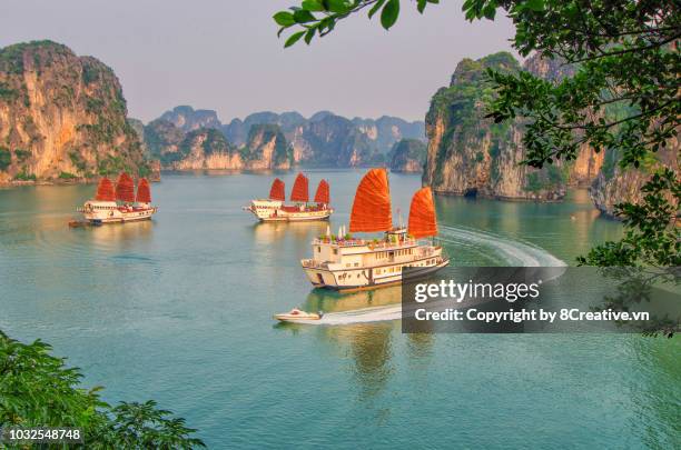 ha long bay, quang ninh, vietnam (halong) - halong bay stock pictures, royalty-free photos & images