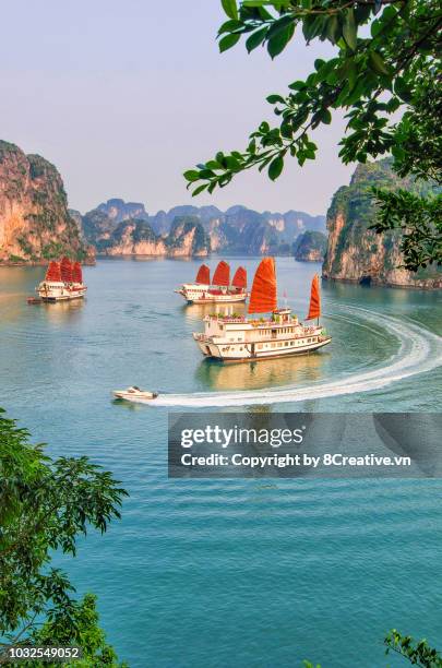 ha long bay, quang ninh, vietnam (halong) - baie d'along photos et images de collection