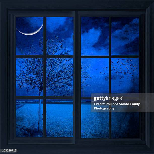 the blue window - strasbourg winter stock pictures, royalty-free photos & images