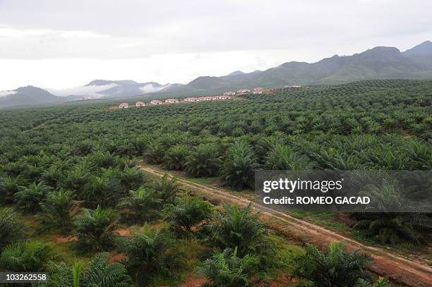 Palm Oil Mill Photos and Premium High Res Pictures - Getty Images