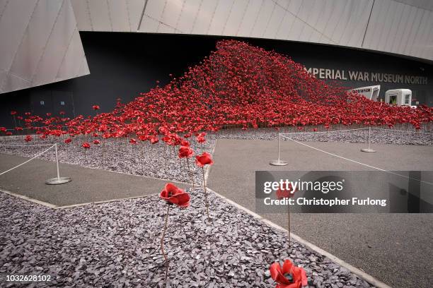 The poppy sculpture Wave, which marks the centenary of World War One, adorns the exterior of the Imperial War Museum North on September 07, 2018 in...