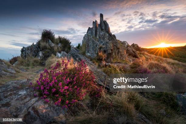 lever de soleil chargé de légendes dans les monts d'arrée - bretagne photos et images de collection