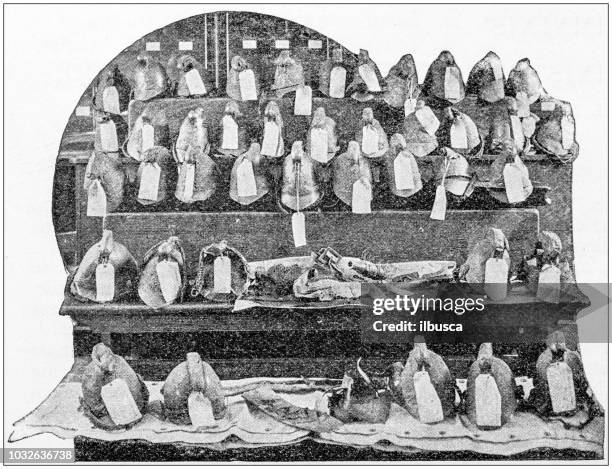 antique photograph: firemen fire brigade training, heroes' helmets - army training stock illustrations