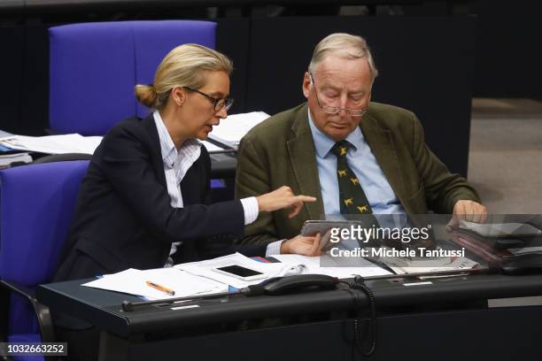 Far right Party AfD leaders Alexander Gauland and Alice Weidel attend a session of the German Parliament or Bundestag on September 13, 2018 in...