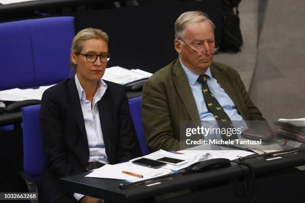 Far right Party AfD leaders Alexander Gauland and Alice Weidel attend a session of the German Parliament or Bundestag on September 13, 2018 in...