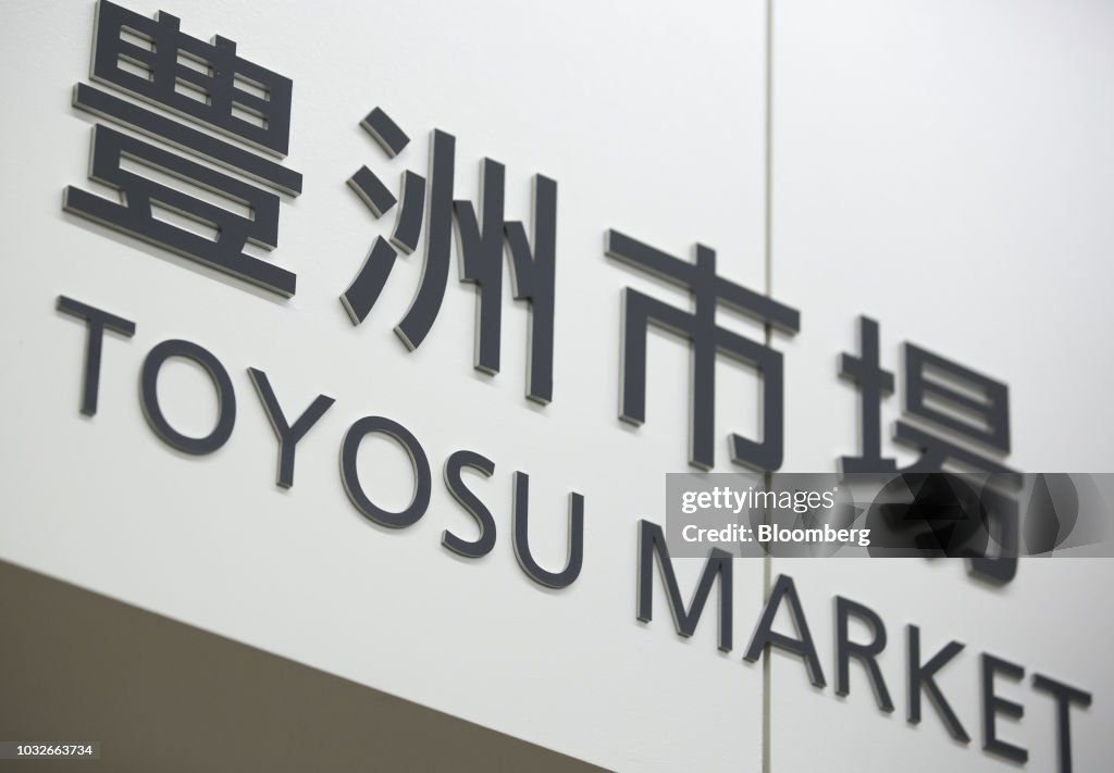 Media Preview of the Toyosu Market as World's Oldest Fish Market Relocates From Tsukiji