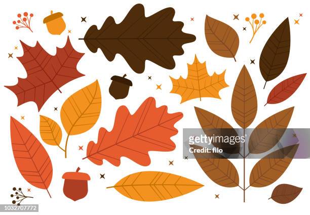 illustrazioni stock, clip art, cartoni animati e icone di tendenza di elementi di design delle foglie autunnali - tree vector