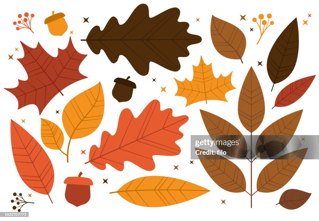 Leaf Design Clip Art leaf-design-clip-art