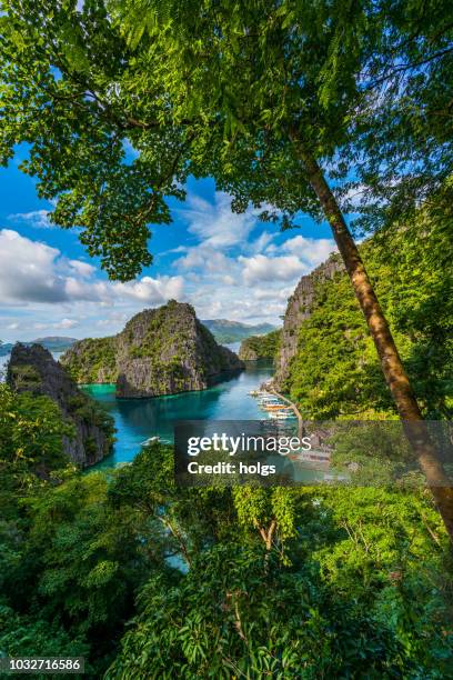 island of coron with a view of kayangan lake in palawan, philippines - palawan philippines stock pictures, royalty-free photos & images