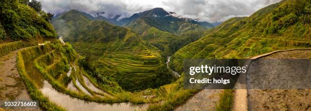 terraços de arroz de banaue na montanha de ifugao em banaue, cordillera, filipinas - luzon - fotografias e filmes do acervo