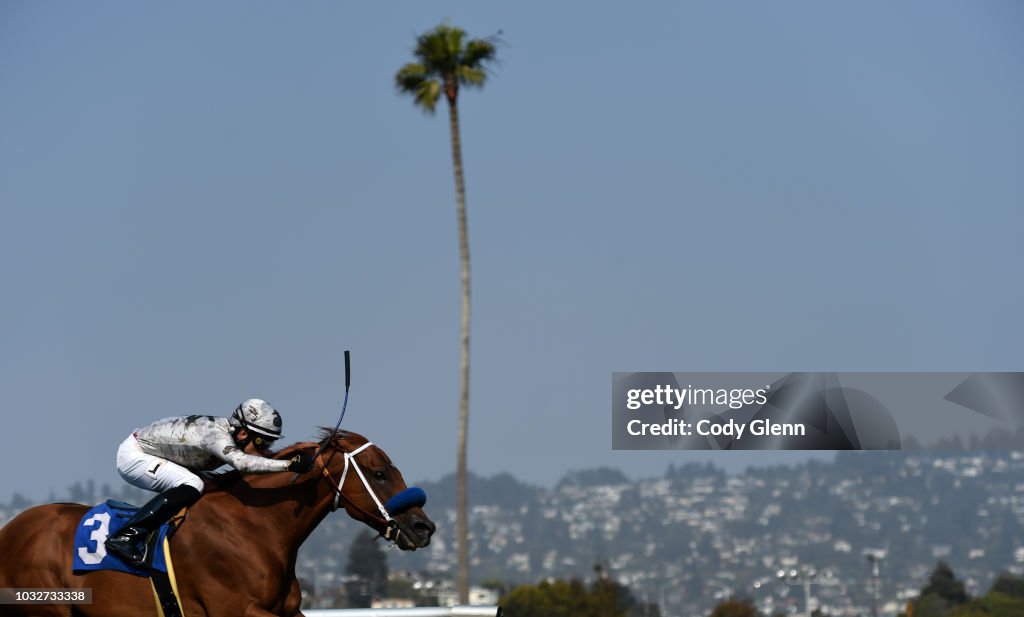 Summer Races at Golden Gate Fields