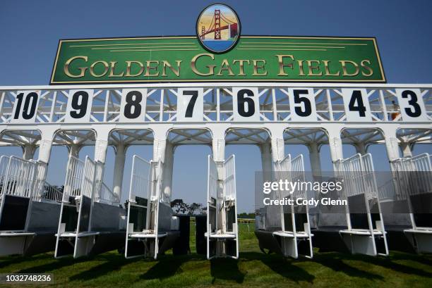 Horse Starting Gate Photos and Premium High Res Pictures - Getty Images