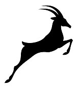 Black jumping antelope