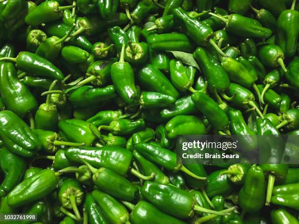 padron peppers. - jalapeño stockfoto's en -beelden