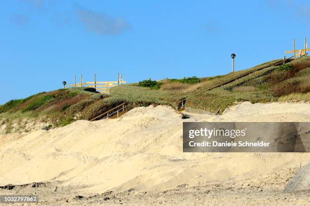 france, south-western france, atlantic ocean, bringing sand to protect the dune - biscarrosse stockfoto's en -beelden