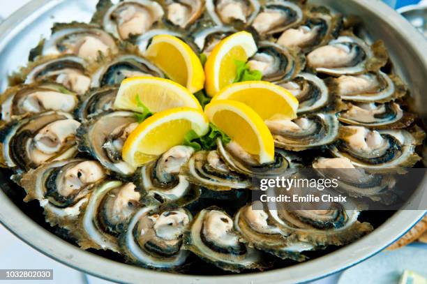 europe, croatia, dubrovnik neretva shire, peljesac peninsula, ston, oysters - ston croatia stock pictures, royalty-free photos & images