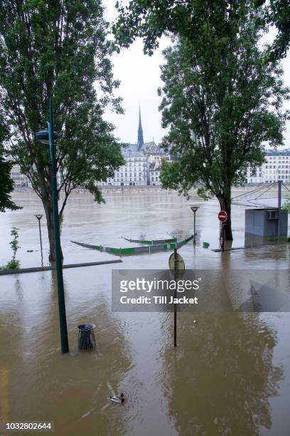 france, paris, seine river flood (2016 june 2nd) - paris flood stock pictures, royalty-free photos & images