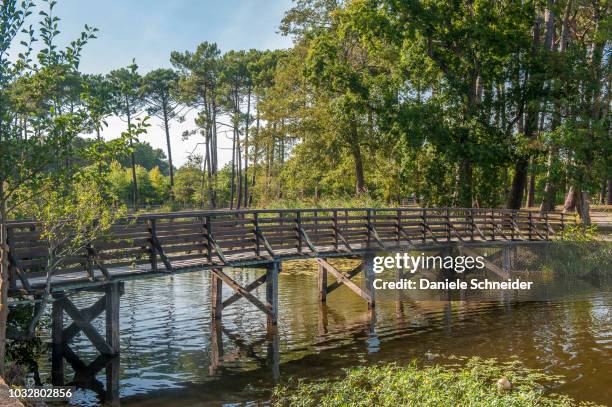 france, landes, wooden footbridge on the sainte eulalie stream that connects aureilhan lake and biscarosse-parentis lake - aquitaine photos et images de collection