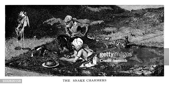 Snake Charmers High-Res Vector Graphic - Getty Images
