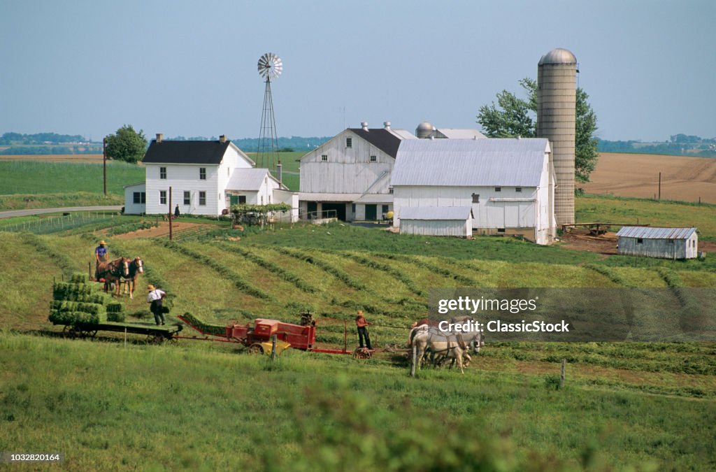 AMISH MEN WORKING ON A...