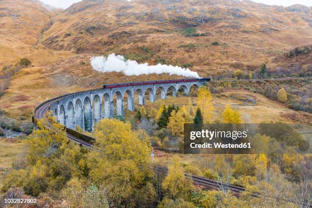 uk, scotland, highlands, glenfinnan viaduct with a steam train passing over it - glenfinnan viaduct stockfoto's en -beelden