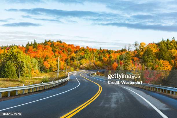 canada, ontario, main road through colorful trees in the algonquin park area - ontario canada stockfoto's en -beelden