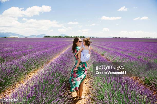 france, provence, valensole plateau, mother and daughter in lavender fields in the summer - distant family stock pictures, royalty-free photos & images