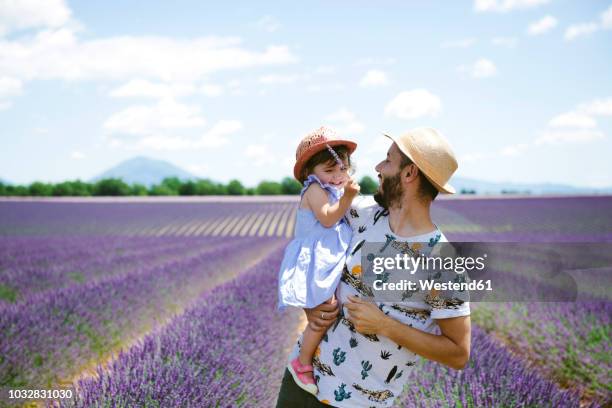 france, provence, valensole plateau, happy father and daughter in lavender fields in the summer - happy famille france photos et images de collection