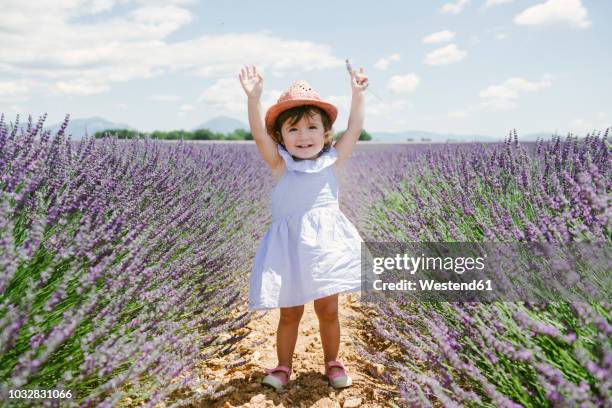 france, provence, valensole plateau, happy toddler girl standing in purple lavender fields in the summer - toddler girl dress stockfoto's en -beelden