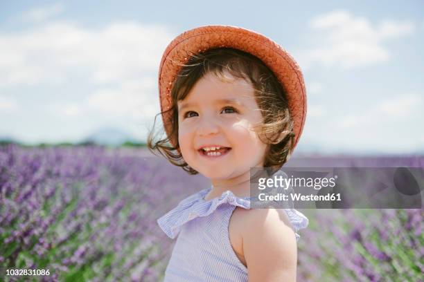 france, provence, valensole plateau, happy toddler girl in purple lavender fields in the summer - purple hat stockfoto's en -beelden
