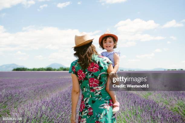 france, provence, valensole plateau, mother and daughter walking among lavender fields in the summer - toddler girl dress stock pictures, royalty-free photos & images