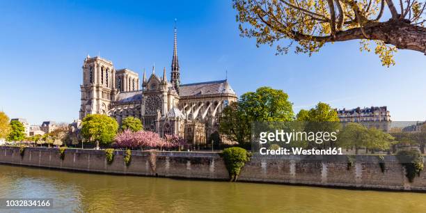 france, paris, notre dame cathedral at cherry blossom - paris springtime stock pictures, royalty-free photos & images