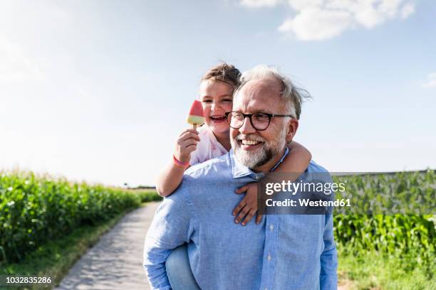 grandfather carrying granddaughter piggyback - grandchild foto e immagini stock