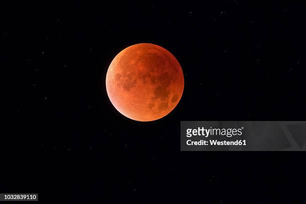 total lunar eclipse with stars in background, blood moon - total lunar eclipse over germany stockfoto's en -beelden