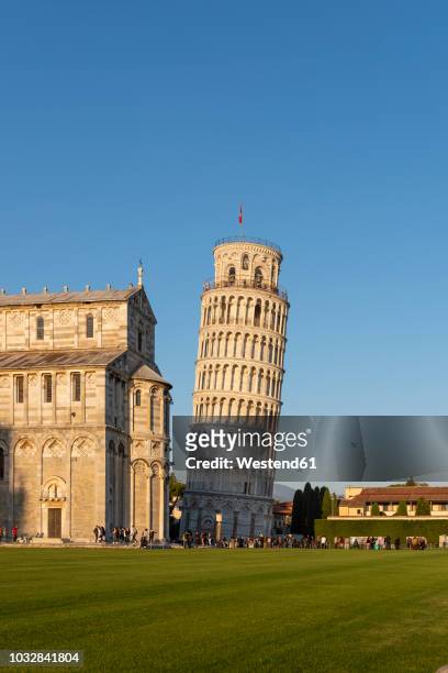 italy, tuscany, pisa, view to pisa cathedral and leaning tower of pisa from piazza dei miracoli in the evening light - torre di pisa stock-fotos und bilder