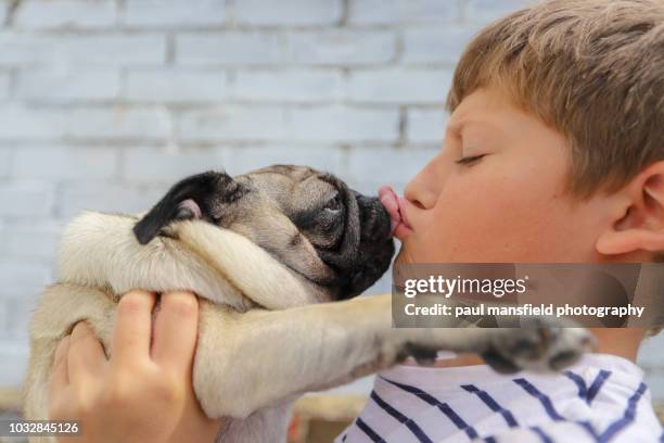 boy and pet dog - dog kiss stock pictures, royalty-free photos & images