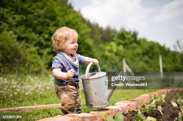 little boy in the garden watering seedlings - baby nature fotografías e imágenes de stock