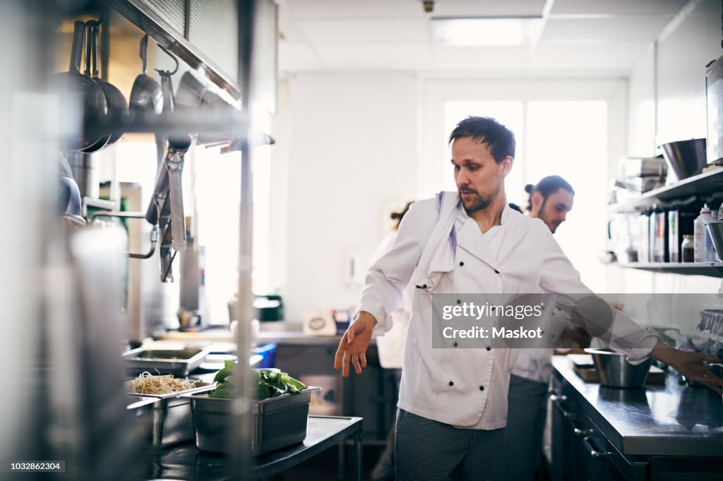 Young male chef working in commercial kitchen