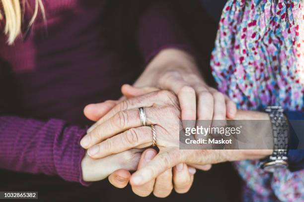 cropped image of granddaughter and grandmother holding hands - young woman with grandmother stock pictures, royalty-free photos & images